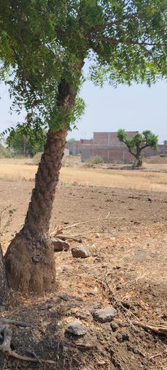 Ganesh Dham Bihadia Main Image 1