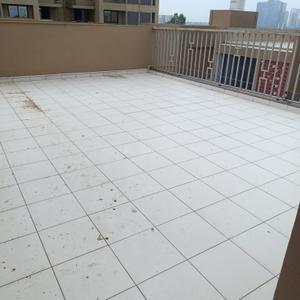 Balcony Image of 3789 Sq.ft 4 BHK Villa for sale in Raysan Gandhinagar for Rs. 43000000