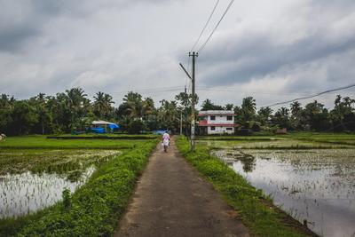 Niwaru Plot View 1