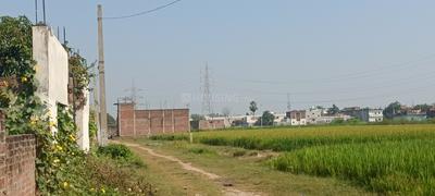 Image of 1360 Sq.ft Residential Plot / Land for sale in Ram Nagar, Varanasi for Rs. 1900000