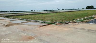 Image of 1800 Sq.ft Residential Plot / Land for sale in Kanuparthipadu, Nellore for Rs. 1850000