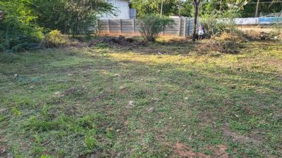 Residential Plot