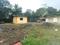 Sarde Plot View 2