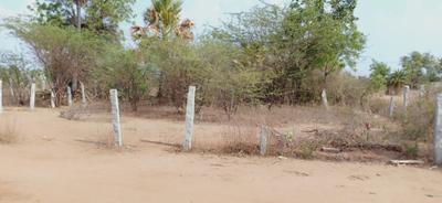 Image of 303 Sq.ft Residential Plot / Land for sale in Bheemaram, Warangal for Rs. 6200000