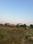 Yeida Plot View 2