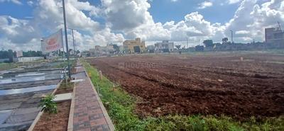 Residential Plot