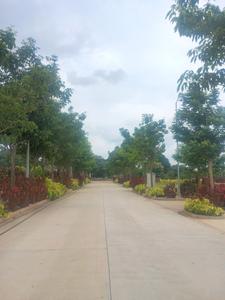 Image of 347 Sq.ft Residential Plot / Land for sale in Peram Kandakatla Valley II, Maheshwaram, Hyderabad for Rs. 9700000