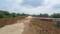 Barela Main Image 1