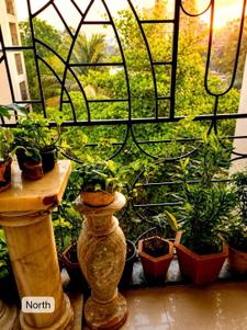 Balcony Image of 1850 Sq.ft 3 BHK Apartment / Flat for sale in Chembur Mumbai for Rs. 39900000
