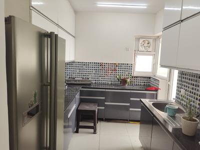 Kitchen Image of 1550 Sq.ft 3 BHK Apartment / Flat for rent in ACME Eden Court, Sector 91 Mohali for Rs. 52000