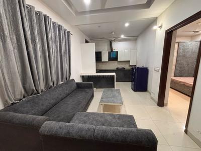 Hall Image of 800 Sq.ft 1 BHK Apartment / Flat for rent in Bhai Randhir Singh Nagar Ludhiana for Rs. 20000