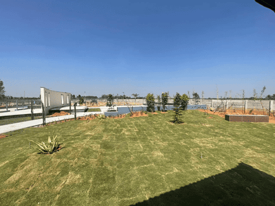 Residential Plot
