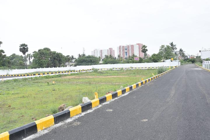 golden aura garden Main Image 1