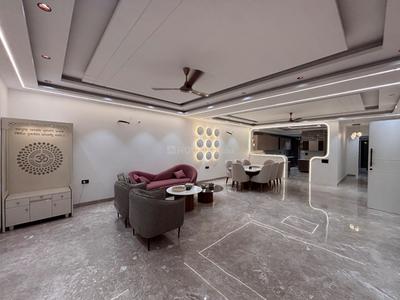 Hall Image of 3645 Sq.ft 4 BHK Builder Floor for sale in Green Field Colony Faridabad for Rs. 35500000