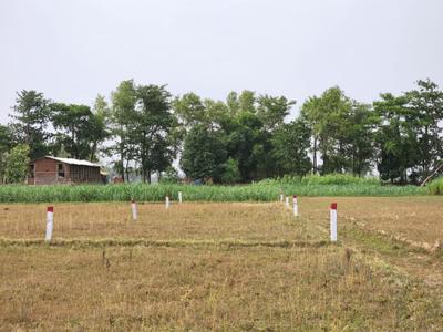 Image of 1000 Sq.ft Residential Plot / Land for sale in Naubatpur, Patna for Rs. 749000