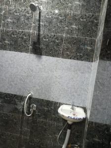 Bathroom Image of Siya Girl's PG  in Sector 135, Noida