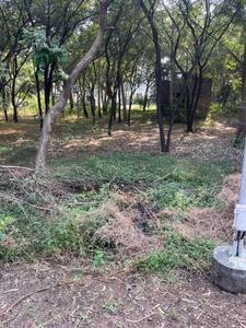 Suramya 1 Plot View 2