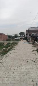 SSB GROUP Plot View 1
