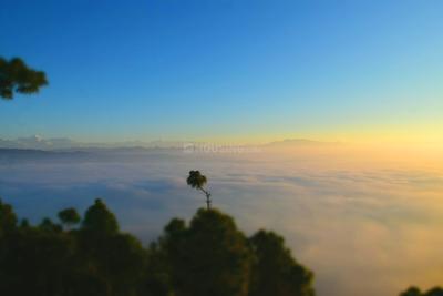 Image of 2160 Sq.ft Residential Plot / Land for sale in Majkhali, Ranikhet for Rs. 3700000