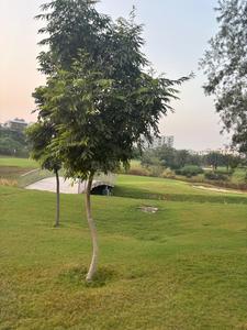 Image of 2359 Sq.ft 4 BHK Independent House for sale in Godrej Golf Link, Jaypee Greens, Greater Noida for Rs. 38000000