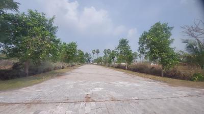 Gorantla Plot View 1
