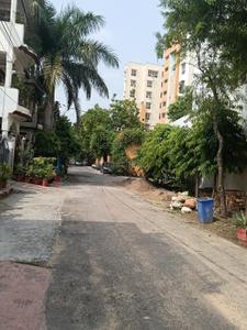 Priyadarshani colony plot sale Plot View 3