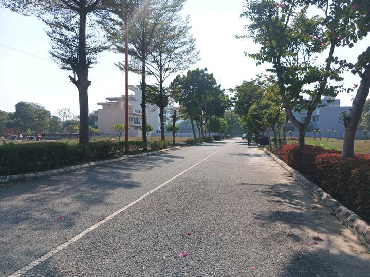 QVC G99 Main Image 1