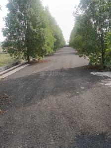 Image of 1250 Sq.ft Residential Plot / Land for sale in Bodri, Bilaspur for Rs. 1500000
