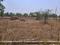 Bothali mohgaon Main Image 1