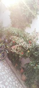 Balcony Image of 2070 Sq.ft 4 BHK Independent House for sale in Chhawani Mohalla Ludhiana for Rs. 7500000