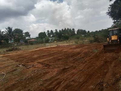 Image of 3877 Sq.ft Residential Plot / Land for sale in Sri Angalamman Puram, Belladhi, Coimbatore for Rs. 3159000