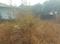 Sarade Plot View 2