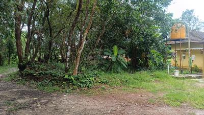 Brahmavar Plot View 2