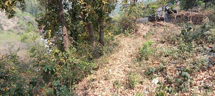 Anarwala Main Image 1