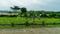 Neemkheda Plot View 2