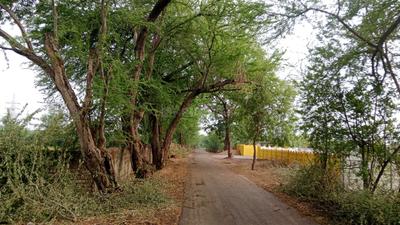 Image of 600 Sq.ft 1 BHK Farm House for sale in Kandul, Raipur for Rs. 6000000