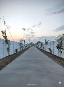 Cantt Plot View 1
