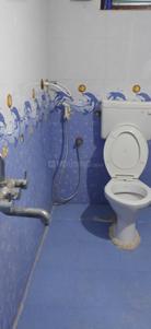 Bathroom Image of 800 Sq.ft 1 BHK Independent House for rent in Santhapet Chittoor for Rs. 5000
