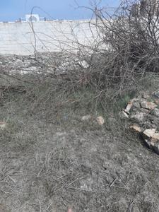 Image of 1156 Sq.ft Residential Plot / Land for sale in Perumbakkam, Chennai for Rs. 9271000