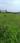 Ratibad Plot View 2