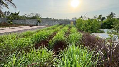 Image of 1320 Sq.ft Residential Plot / Land for sale in Bisanahalli, Bengaluru for Rs. 6600000
