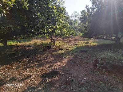 Mangaon Plot View 3