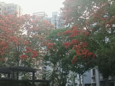 Image of 1440 Sq.ft 3 BHK Apartment / Flat for sale in Sector 92, Gurgaon for Rs. 12100000