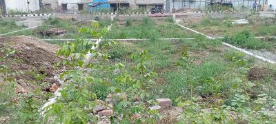 Moti Jheel Colony Plot View 2