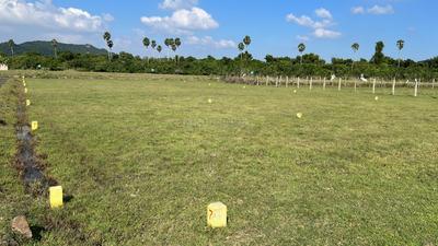 Residential Plot