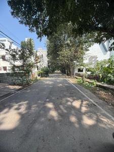 8th Phase Plot View 2
