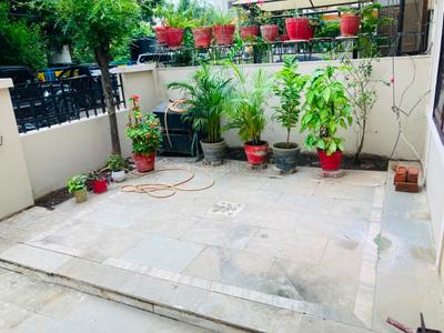 Balcony Image of 1250 Sq.ft 3 BHK Duplex for rent in Chuna Bhatti Bhopal for Rs. 22000