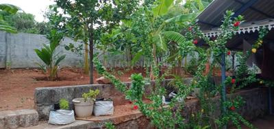 Image of 1150 Sq.ft 2 BHK Independent House for sale in Vallikode, Palakkad for Rs. 6000000