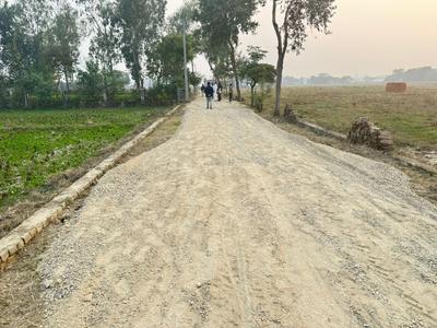 tengramodh Ramnagar Plot View 1