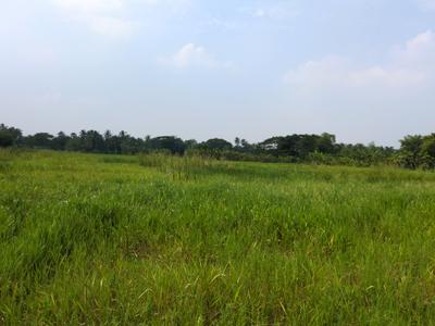 Image of 720 Sq.ft Residential Plot / Land for sale in Nest Valley, Joka, Kolkata for Rs. 161616